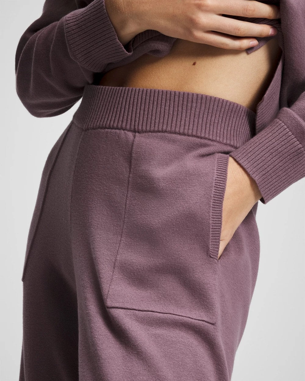 Cotton Sweater Crop Pant - PURPLE FLINT | Soma Women